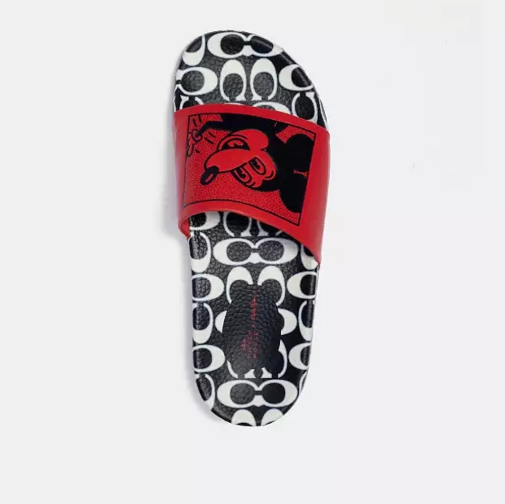 Coach slides - Picture 3 of 5